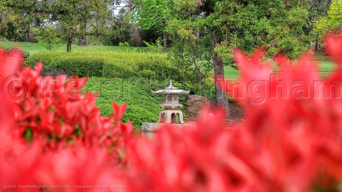 Peter Bellingham Photography Japanese Garden - Cowra
